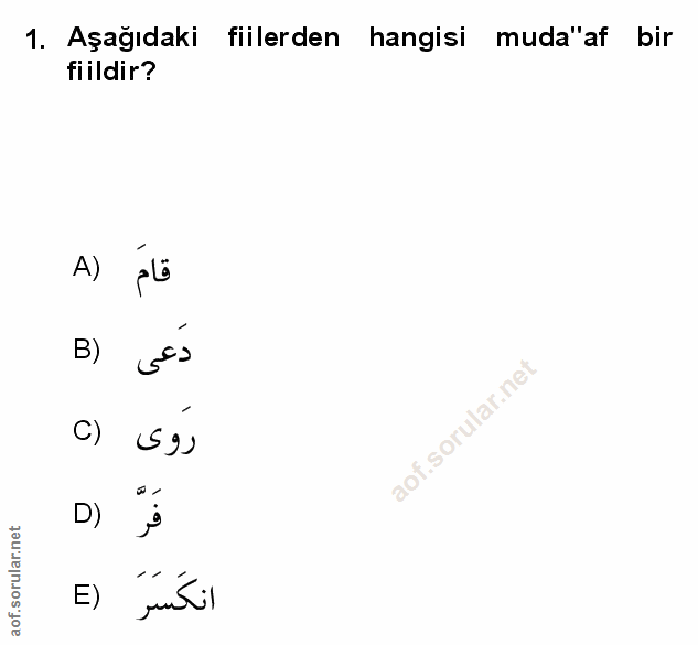 Soru 1