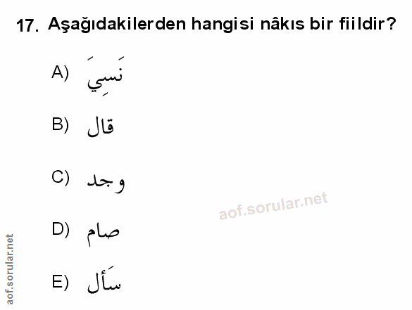 Soru 17