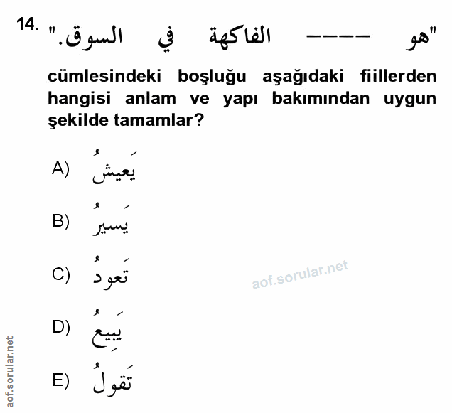 Soru 14