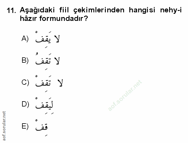 Soru 11