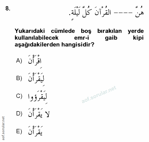 Soru 8