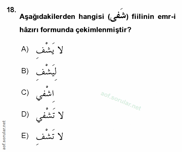 Soru 18
