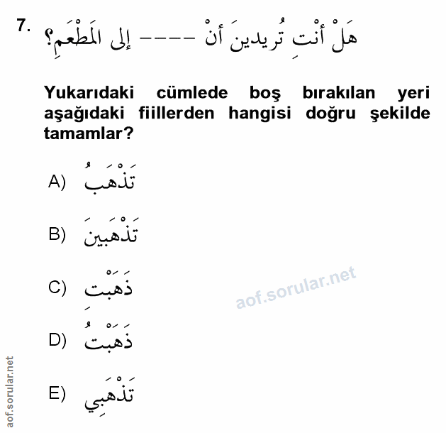 Soru 7