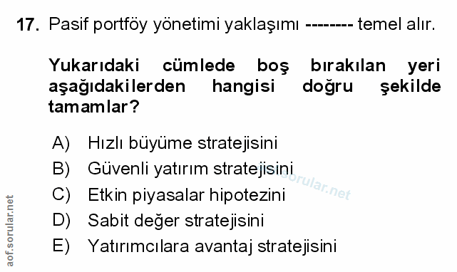 Soru 17