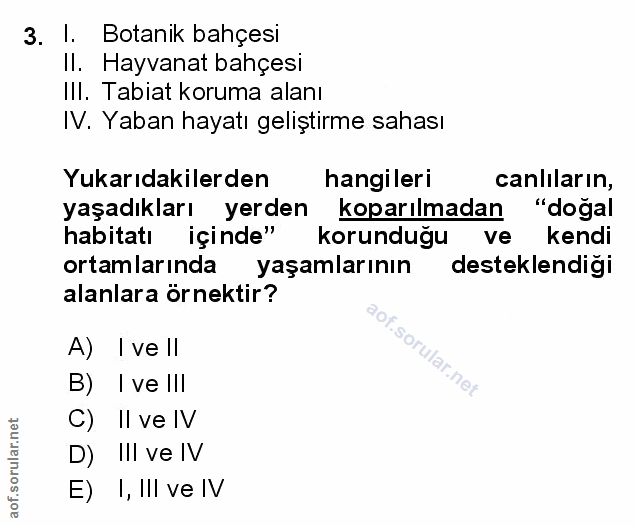 Soru 3