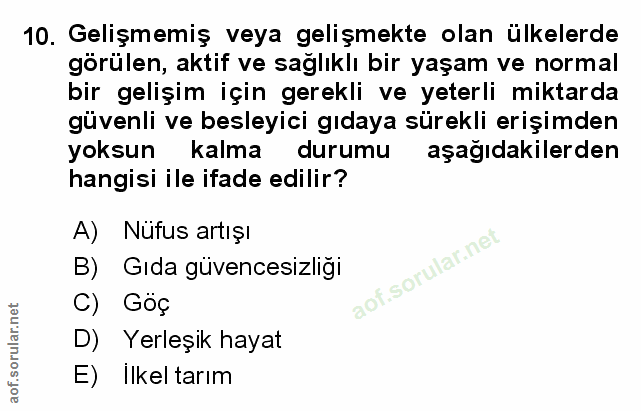 Soru 10