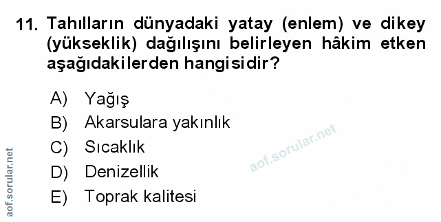 Soru 11