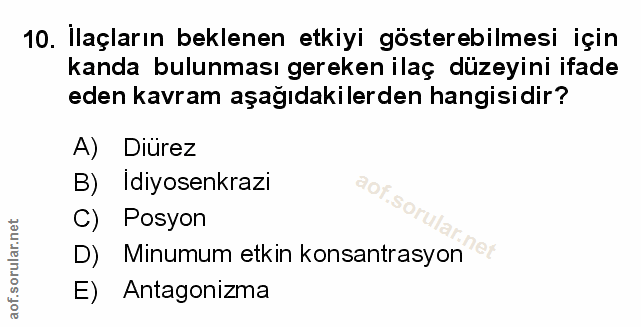 Soru 10
