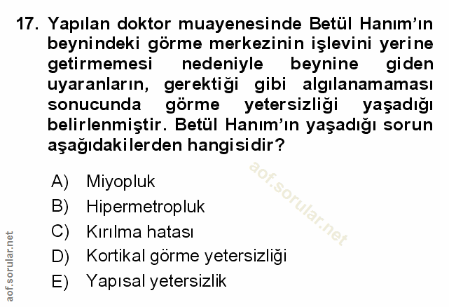 Soru 17