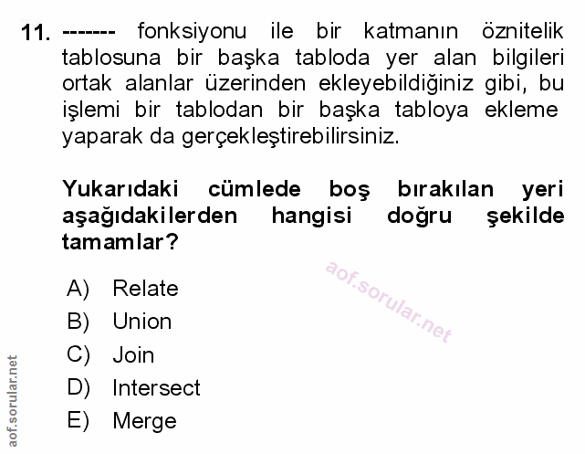 Soru 11