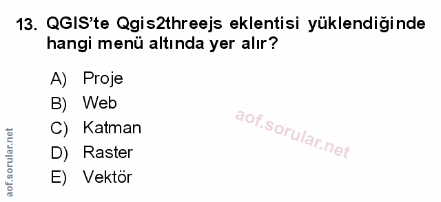 Soru 13