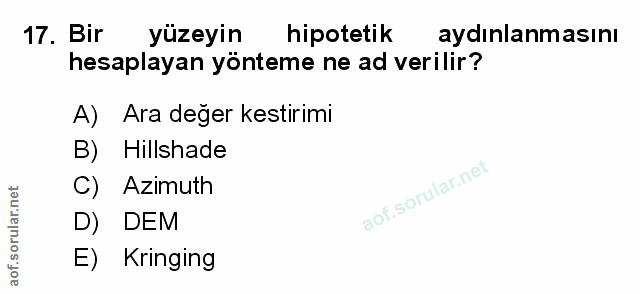 Soru 17