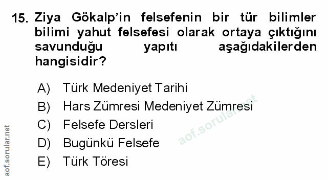 Soru 15