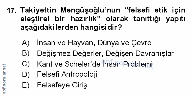 Soru 17