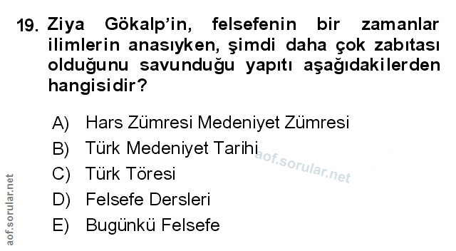 Soru 19
