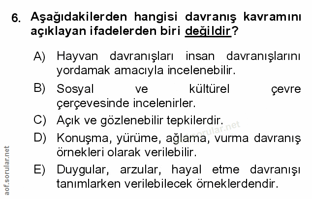 Soru 6
