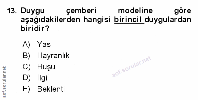 Soru 13