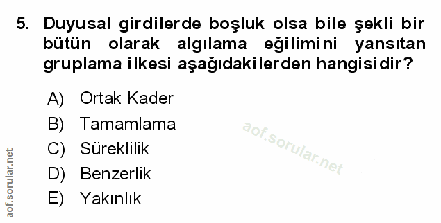 Soru 5