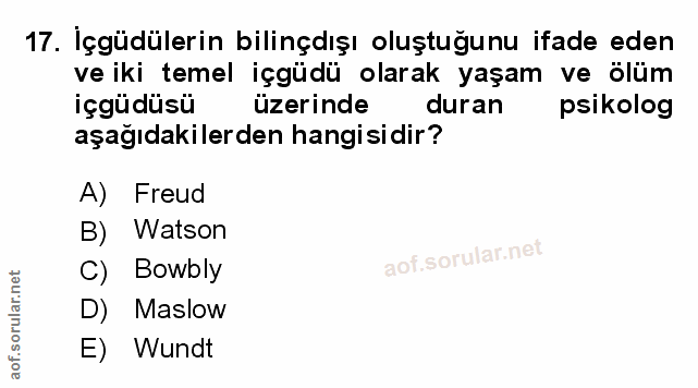 Soru 17
