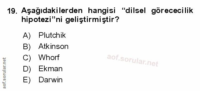 Soru 19