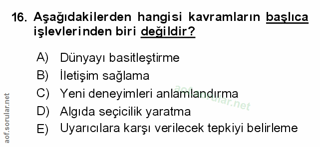 Soru 16