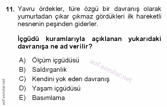 Soru 11