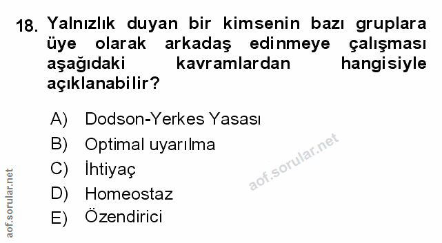 Soru 18
