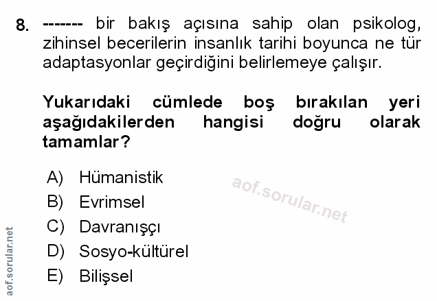 Soru 8