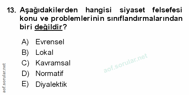 Soru 13