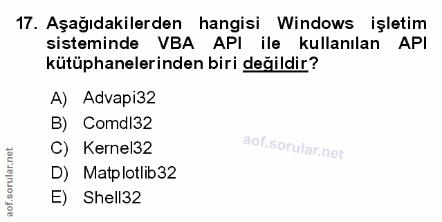 Soru 17
