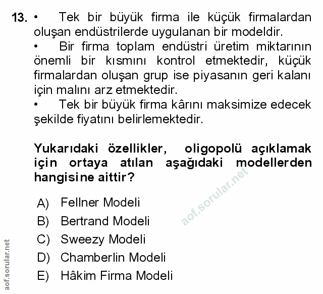 Soru 13