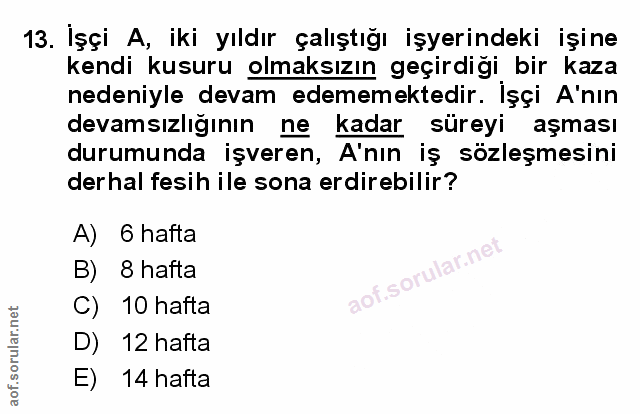Soru 13