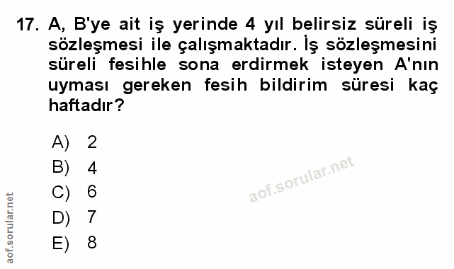 Soru 17