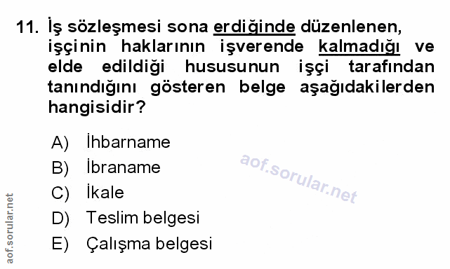 Soru 11