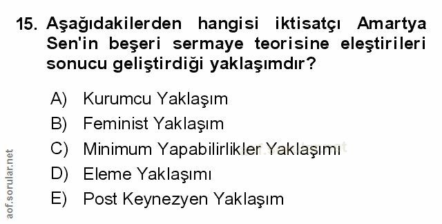 Soru 15