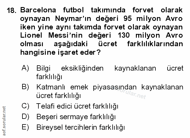 Soru 18