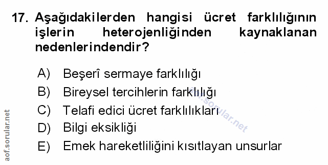 Soru 17