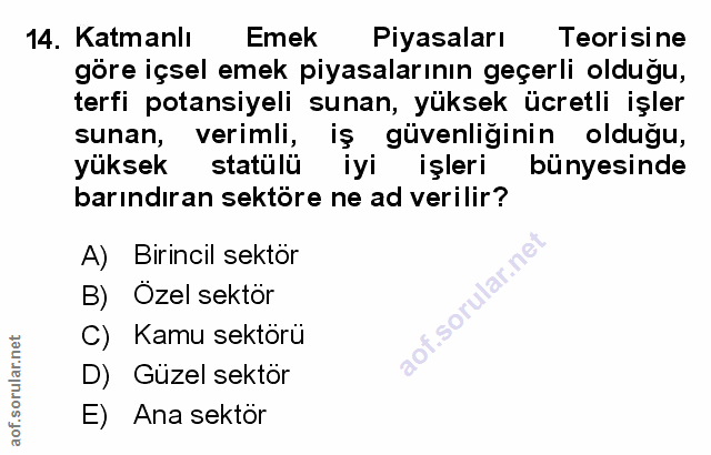 Soru 14