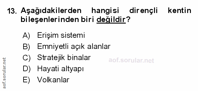 Soru 13