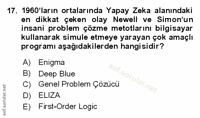 Soru 17