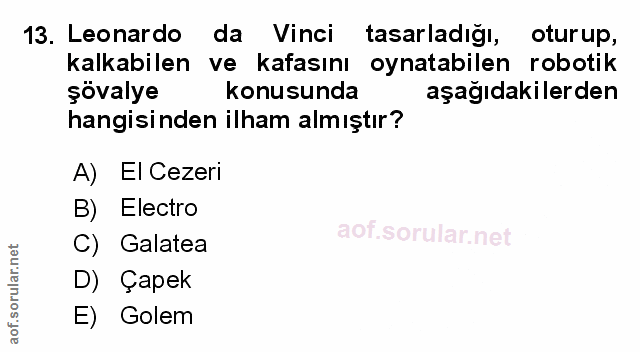 Soru 13