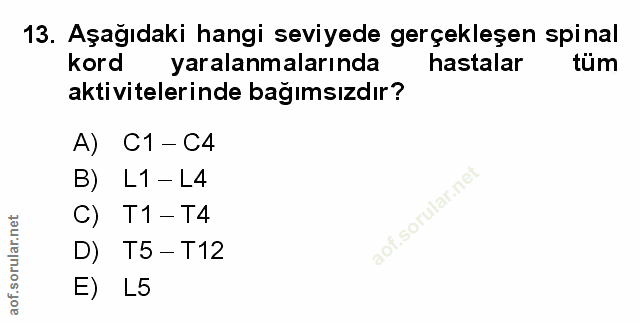 Soru 13