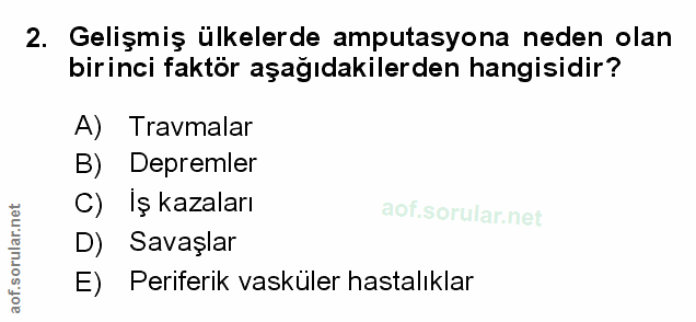 Soru 2