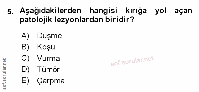 Soru 5