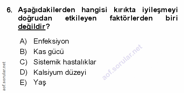 Soru 6