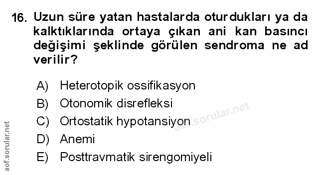 Soru 16