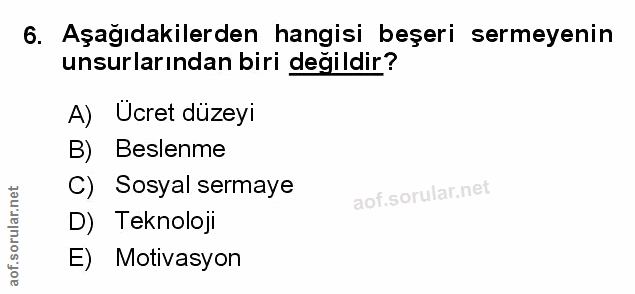 Soru 6