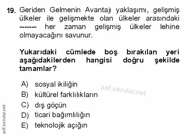 Soru 19