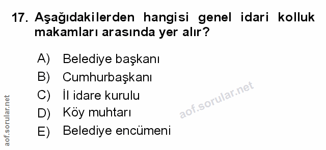 Soru 17