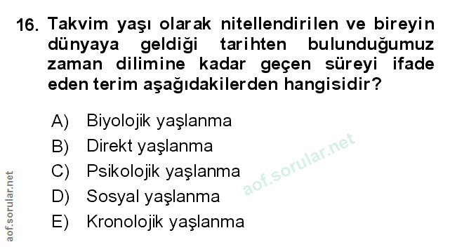 Soru 16